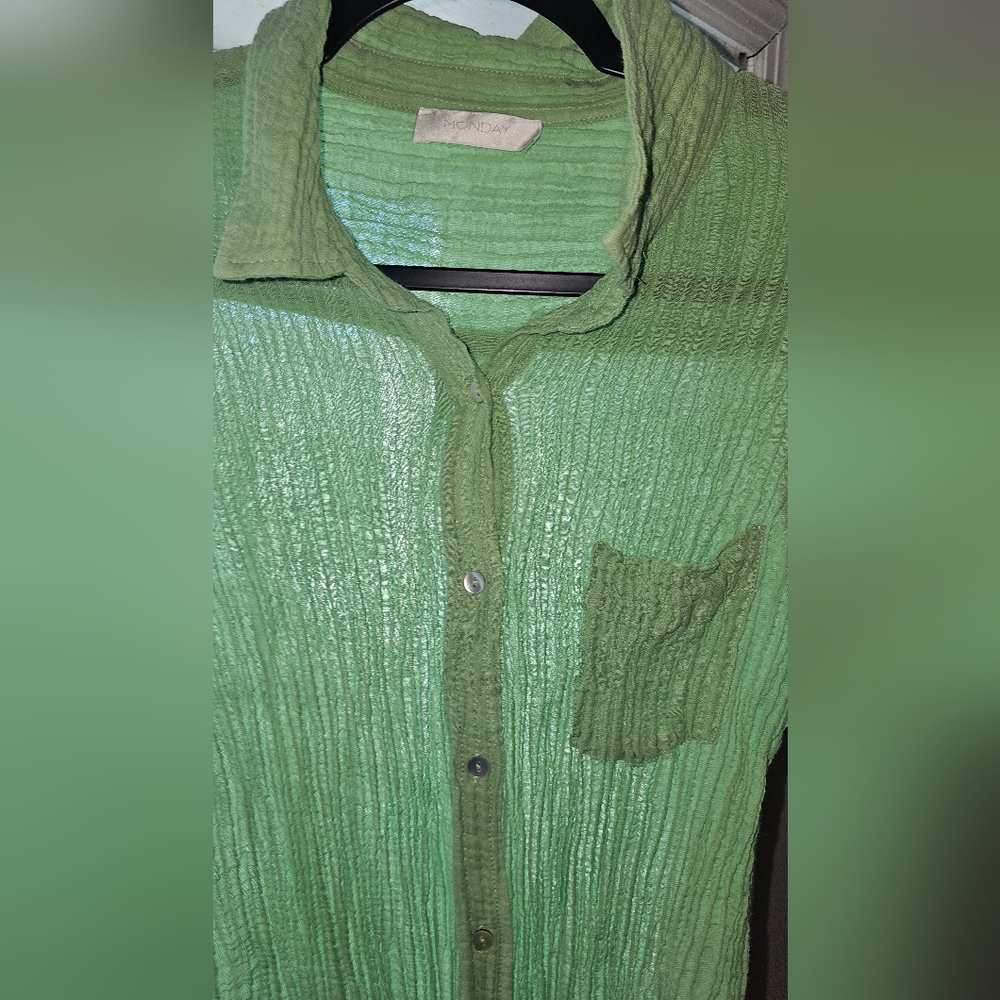 Green %100 Linen Button-Up Shirt and Shorts Set - Picture 3 of 5